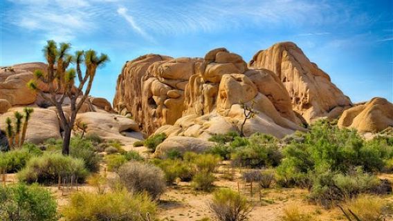 Stone Adventures - Joshua Tree Rock Climbing Adventure Guides