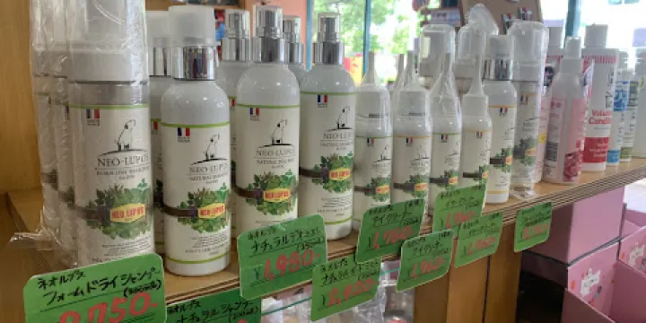 保護貓とつながるカフェ＆ショップ ヌーベルバーグ