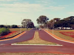 Cristo Pradopolis Sp