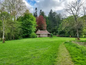 Killykeen Forest Park