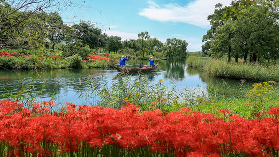 Water Eco Park