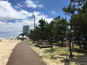 경포해변
