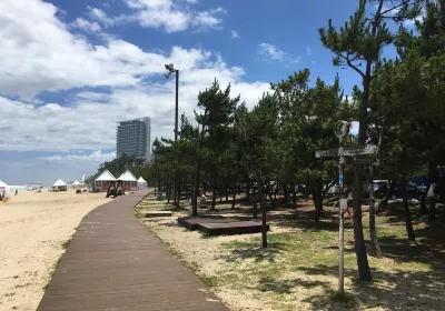 Gyeongpo Beach