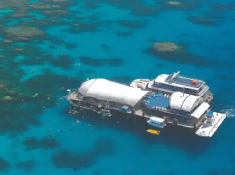 Great Adventures Cruises- Cairns