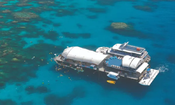 Great Adventures Cruises- Cairns