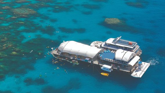 Great Adventures Cruises- Cairns