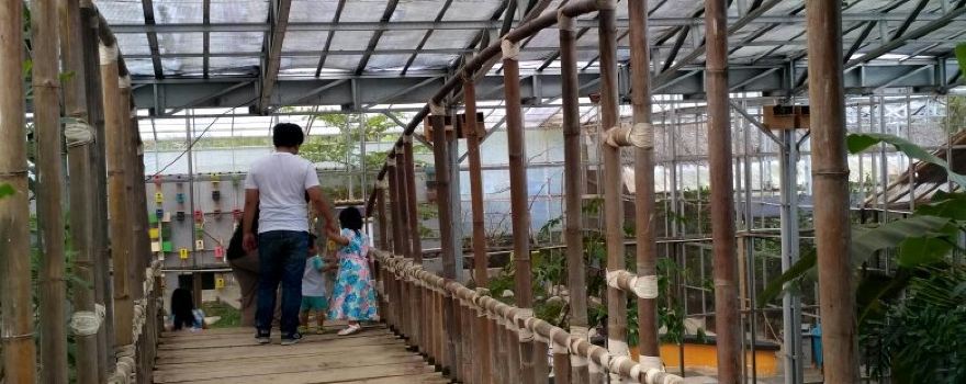 Palembang Bird Park