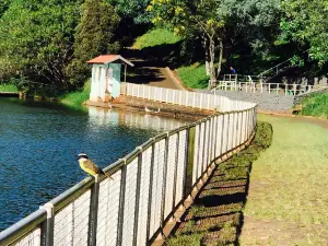 Park Alfredo Werner Nyffeler