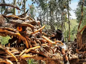 Humedales de Huasao