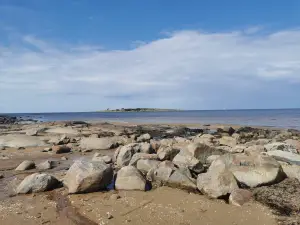 Tylösand