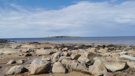 Tylösand