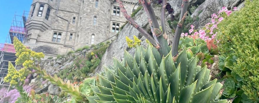 Saint Michael's Mount