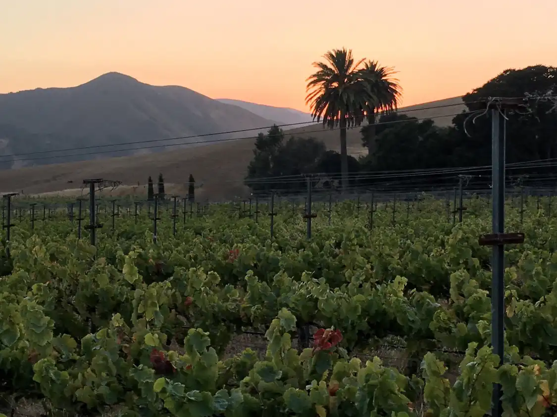 Hotels near Jalama Wines