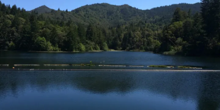 Lake Lagunitas