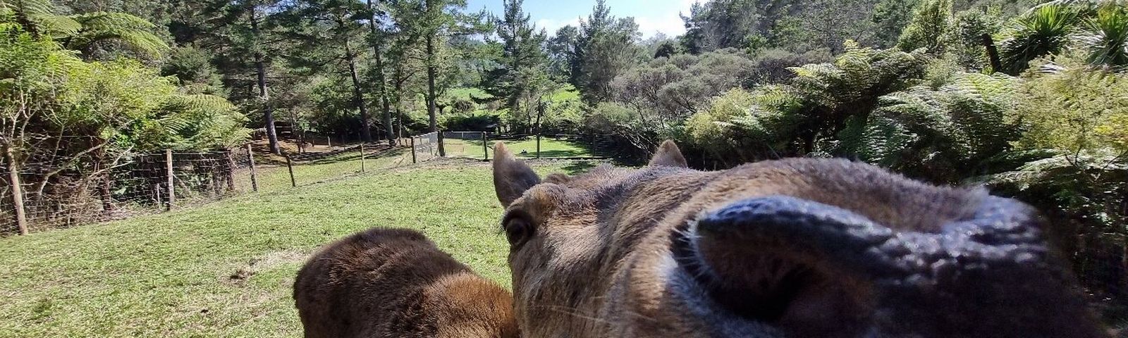 KaimaramaBerperahu/Berlayar