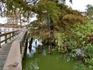 Plum Bayou Mounds Archeological State Park
