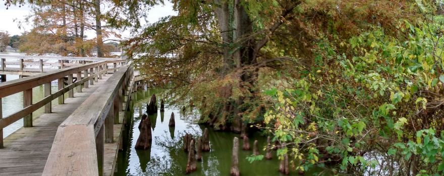 Plum Bayou Mounds Archeological State Park