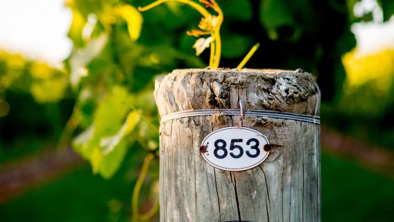 新西蘭基督城+懷帕拉+Glenmark Reserve一日遊