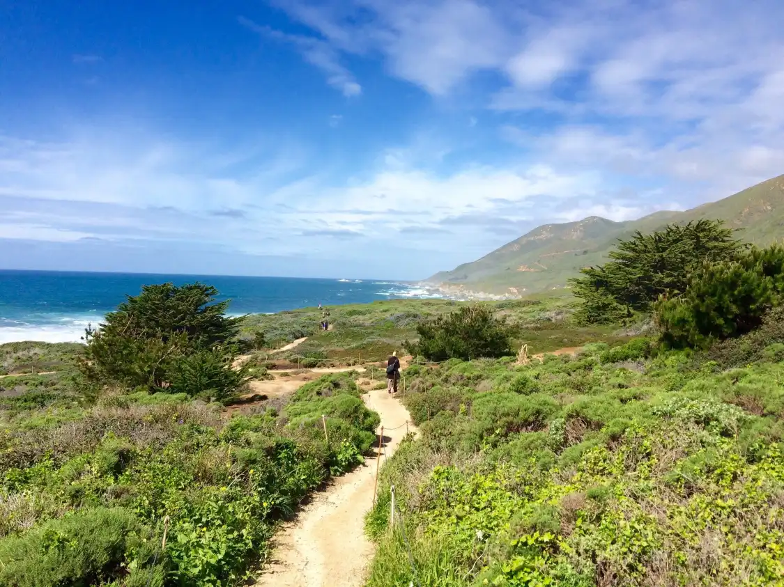 Hotels near Highway 1