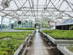 Arbor Day Farm