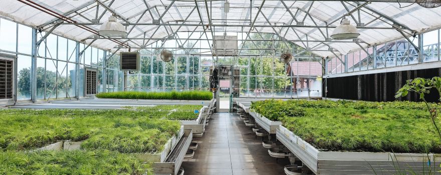 Arbor Day Farm