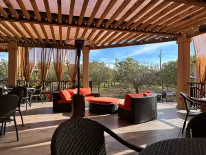 Heart of the Desert Pistachios & Wine