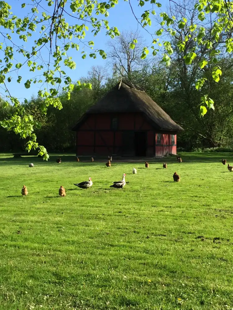Hotels near Borreby Mose