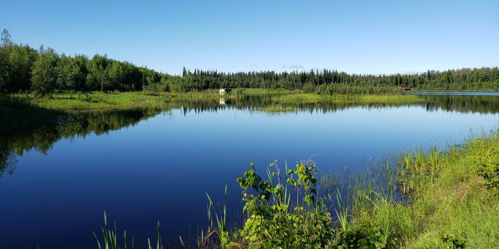 Wedgewood Wildlife Sanctuary