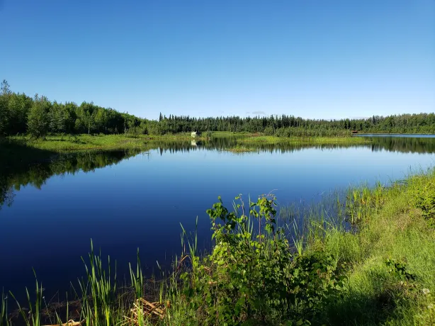 Wedgewood Wildlife Sanctuary