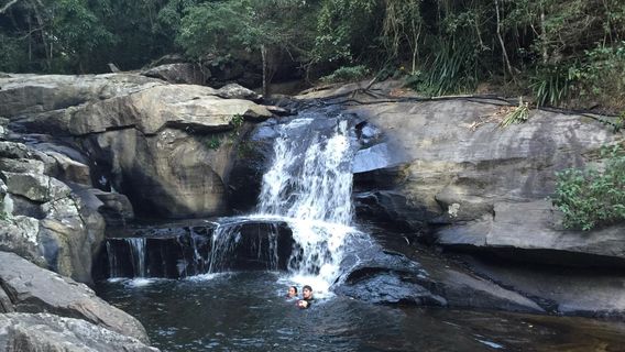Poco Dantas