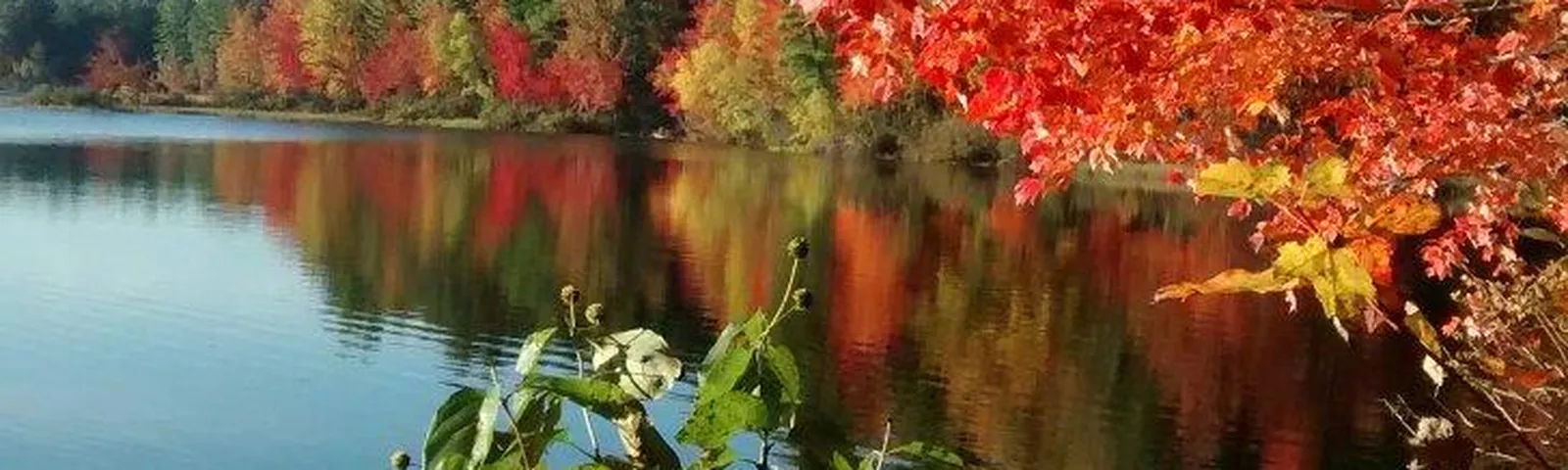 PolandExperiencias únicas