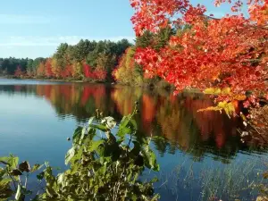 Range Pond State Park