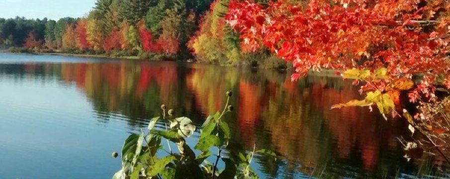Androscoggin County