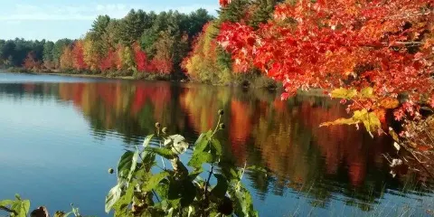 Range Pond State Park