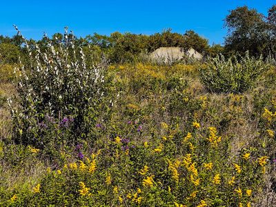 Midewin National Tallgrass Prairie