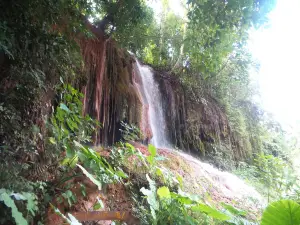 อุทยานแห่งชาติภูซาง
