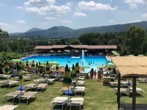 The Oasis del Sol