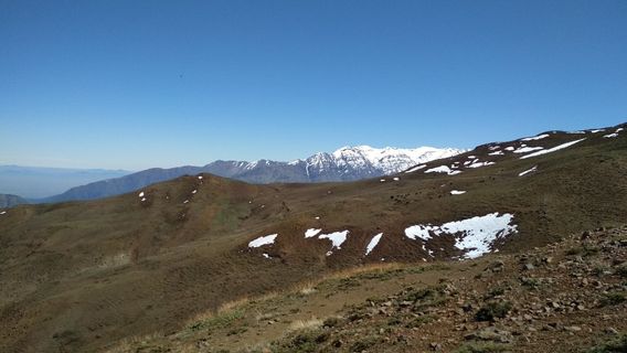Isla de Maipo