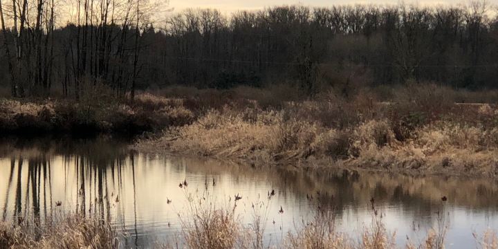 ƛ̓éxətəm Regional Park