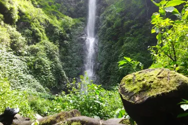 Batu