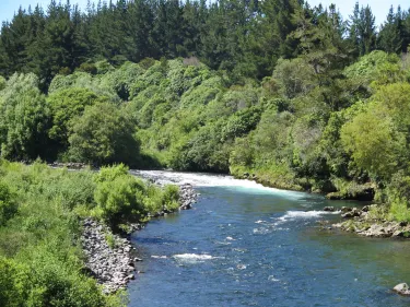 Turangi
