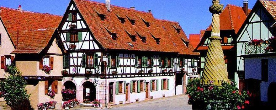 Alsace Wine Schaeffer-Woerly