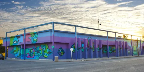 Instituto de Investigaciones Culturales - Museo UABC