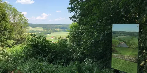 Buddenberg Arboretum