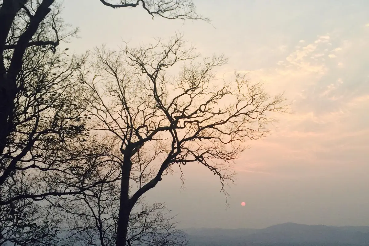 จุดชมวิวเขาพังเหย