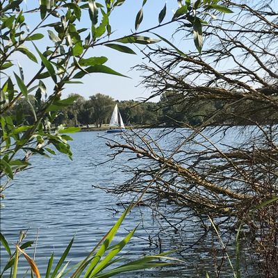 Etang du Vignoble