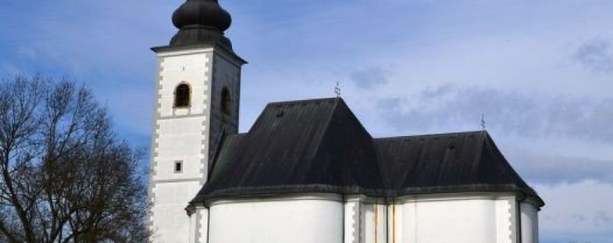 Donja Kupcina