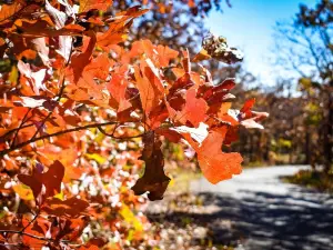 Osage Hills State Park