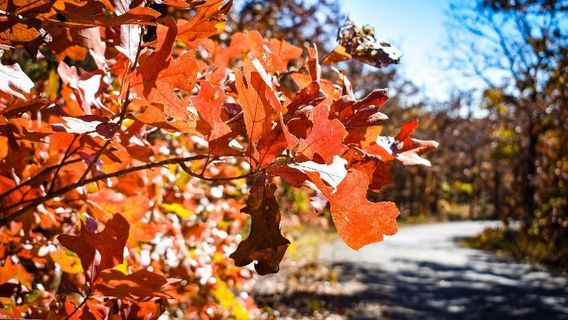 Osage Hills State Park