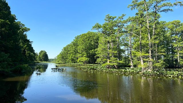 Reelfoot National Wildlife Refuge
